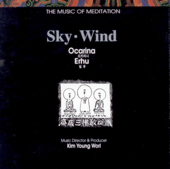 하늘 바람1(오카리나/얼후) - Wang Junki & 김은영