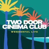 Two Door Cinema Club - Wonderful Life (edit)