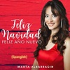 Feliz Navidad Feliz Año Nuevo - Single