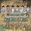 Amor Viejo - Single