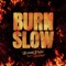 Burn Slow (feat. Wacotron) - Jesse Eplan lyrics