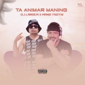 Ta Aminar Manning (feat. Mano Tsotsi) artwork