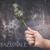 Razionale - Single