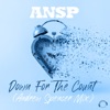 Down For the Count (Andrew Spencer Mix) - Single