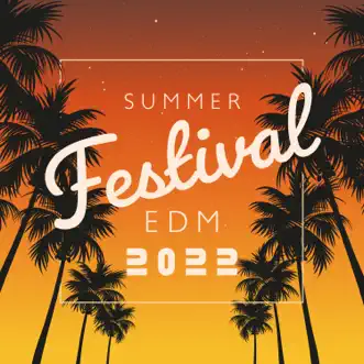 Summer Festival EDM 2022: Party EDM, Dance, Electro & House Top Hits by Chillout Sound Festival, DJ Chillax & DJ Charles EDM album reviews, ratings, credits