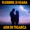 ADN de tiganca - Single