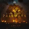 Prismata (Dark) album lyrics, reviews, download