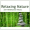 Cure Insomnia - Relaxing Nature Sounds Collection lyrics