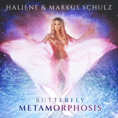 Butterfly X Metamorphosis artwork