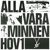 Alla våra minnen artwork