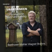 Christian Elsner: Urgedanken (Beethoven, Mahler, Wagner, Brahms) artwork