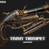 Timmy Trumpet - Single