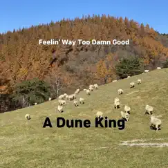 Feelin' Way Too Damn Good - Single by A Dune King album reviews, ratings, credits