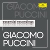 Riccardo Chailly & National Philharmonic Orchestra - Minuetto II