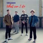Organix - What Can I Do (Single)