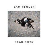 Dead Boys by Sam Fender