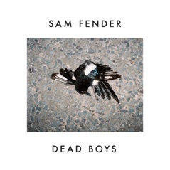 Dead Boys - Single