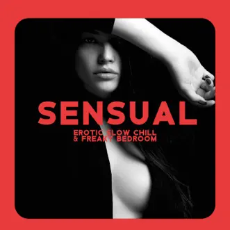 Sensual Erotic Slow Chill & Freaky Bedroom: Ibiza Midnight Seduction, Sexual Playlist Music Mix 2022 by Sex Music Zone album reviews, ratings, credits