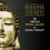 Buddha Sounds: 50 Tibetan Bowl Bliss for Sound Therapy (The Soul of Healing Deep Meditation, Savasana Yoga Music, Awakening, Mantra & Inner Peace) album lyrics, reviews, download