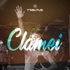 Tributus - Clamei