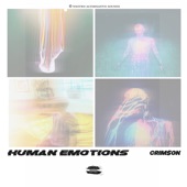Human Emotions artwork