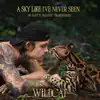 A Sky Like I've Never Seen (From the Amazon Original Movie "Wildcat") [feat. Tim Bernardes] - Single album lyrics, reviews, download