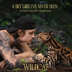 A Sky Like I've Never Seen (From the Amazon Original Movie "Wildcat") [feat. Tim Bernardes] - Single