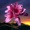 Calypso Rose, The Garifuna Collective, Synapson - Watina (feat. The Garifuna Collective) (Synapson Rework)