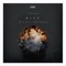 Darn (Za__Paradigma Remix) - Kenders lyrics