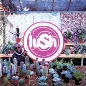 Lush - Ladykillers