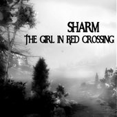 The Girl in Red Crossing - Sharm