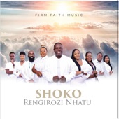 Shoko Rengirozi Nhatu artwork