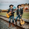 Southern Goodbyes - Single