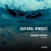 Ignacio Salgado - Cosmic