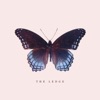 The Ledge - Single