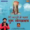 Tere Charno Me Naman Guru Gorakhnath song lyrics