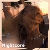 Am I Wrong - Nightcore - Single