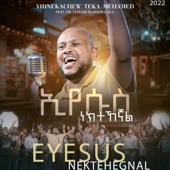 Eyesus Nektehegnal (feat. Dr. Lealem Tilahun (Lali)) artwork