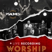 Worship (Live Recording) artwork