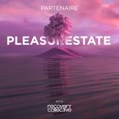 Pleasurestate artwork