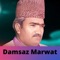 Gulzar - Damsaz Marwat lyrics