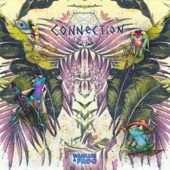 Connection (feat. The Frog Collective) artwork