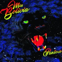 Miss Bolivia Ablum Cover