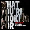 What You're Looking For - Single (feat. Shomori Pass & Rakaa) - Single album lyrics, reviews, download
