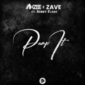 Pump It (feat. Sonny Flame) - Ahzee &amp; Zave Cover Art