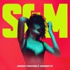 S&M - Single