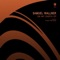 On My Earth (Takashi Watanabe Remix) - Samuel Wallner lyrics