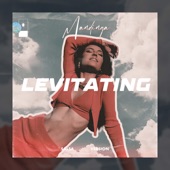 Levitating (Salsa Version) artwork
