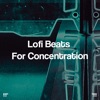 !!!" Lofi Beats for Concentration "!!!