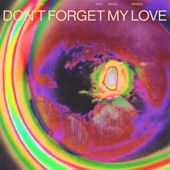 Don't Forget My Love (Rules Remix) artwork
